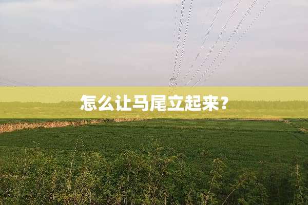 怎么让马尾立起来？