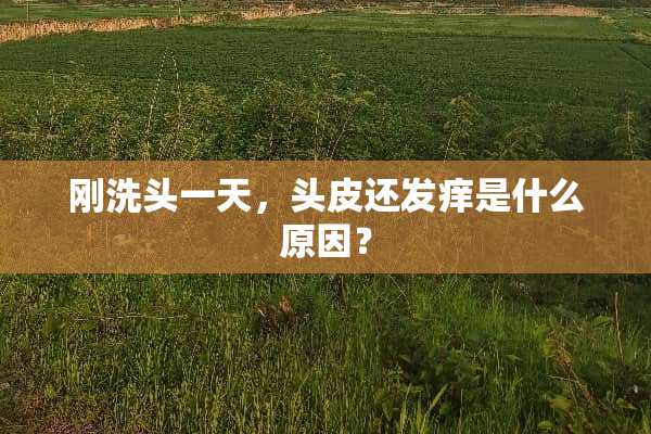 刚洗头一天，头皮还发痒是什么原因？