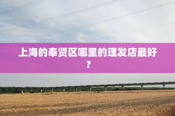 上海的奉贤区哪里的理发店最好？
