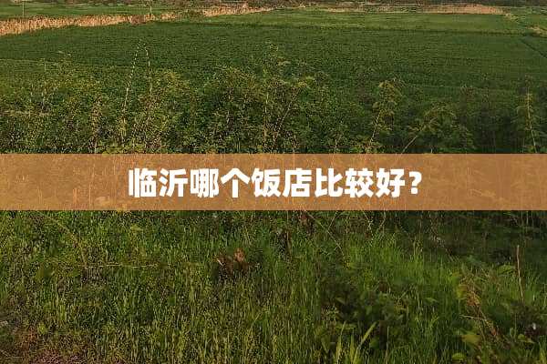 临沂哪个饭店比较好？