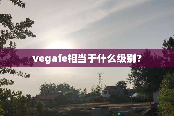 vegafe相当于什么级别？