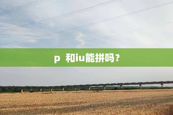 p  和iu能拼吗？