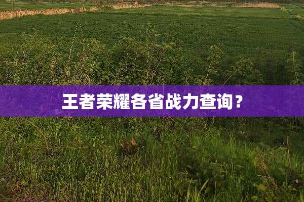 王者荣耀各省战力查询？