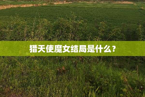 猎天使魔女结局是什么？