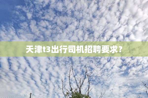 天津t3出行司机招聘要求？