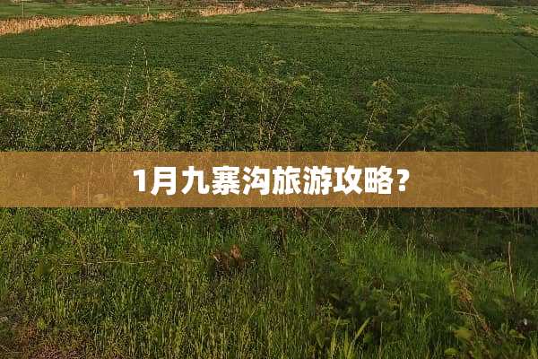 1月九寨沟旅游攻略？