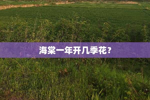 海棠一年开几季花？