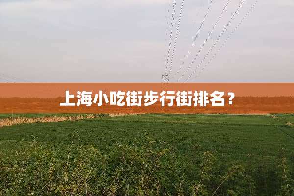 上海小吃街步行街排名？