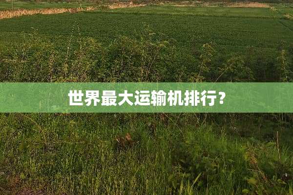 世界最大运输机排行？
