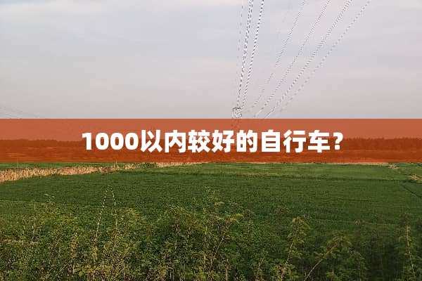 1000以内较好的自行车？