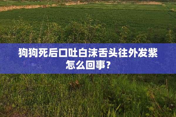 狗狗死后口吐白沫舌头往外发紫怎么回事？