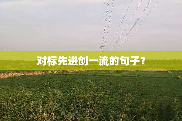 对标先进创一流的句子？