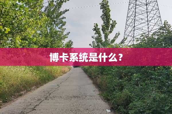 博卡系统是什么？