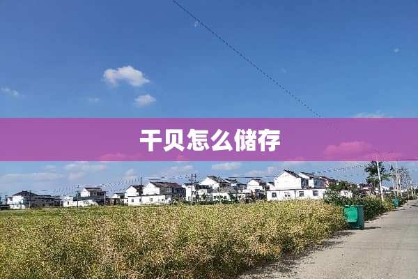 干贝怎么储存