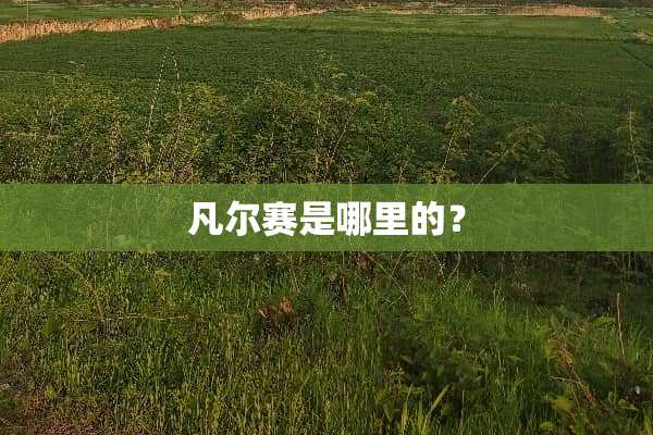 凡尔赛是哪里的？