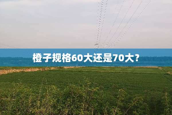 橙子规格60大还是70大？
