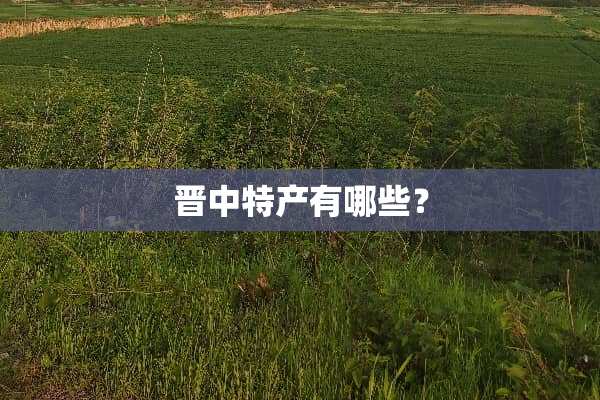 晋**产有哪些？