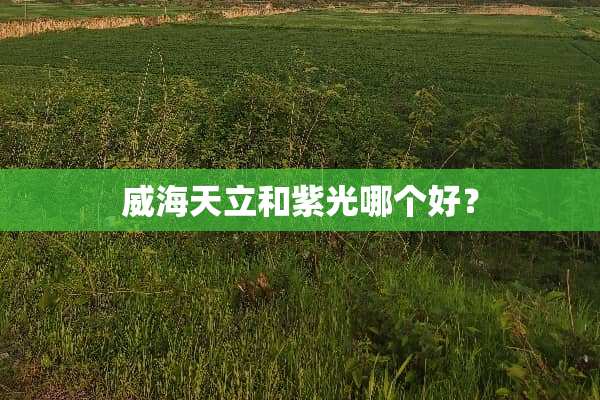 威海天立和紫光哪个好？