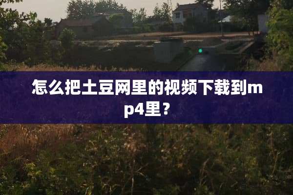 怎么把土豆网里的视频下载到mp4里？