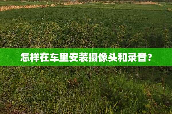 怎样在车里安装**头和录音？