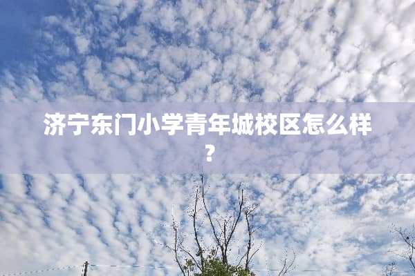 济宁东门小学青年城校区怎么样？