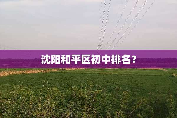 沈阳和平区初中排名？