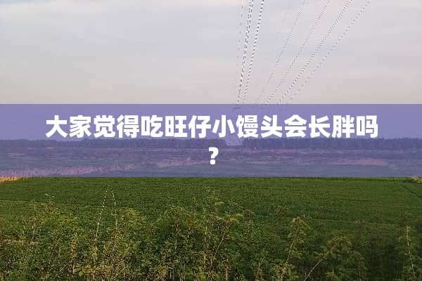 大家觉得吃旺仔小馒头会长胖吗？