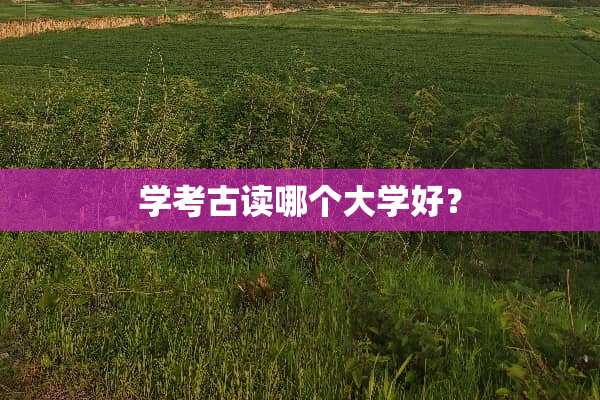 学考古读哪个大学好？