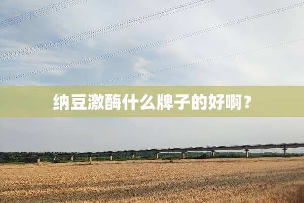 纳豆激酶什么牌子的好啊？