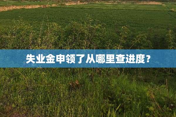失业金申领了从哪里查进度？