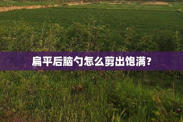 扁平后脑勺怎么剪出饱满？