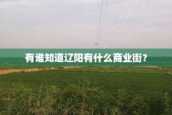 有谁知道辽阳有什么商业街？