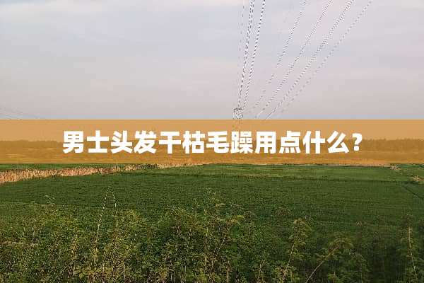 男士头发干枯毛躁用点什么？