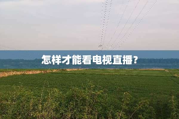 怎样才能看电视直播？