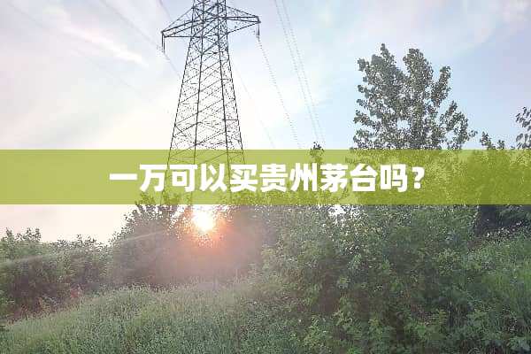 一万可以买贵州茅台吗？