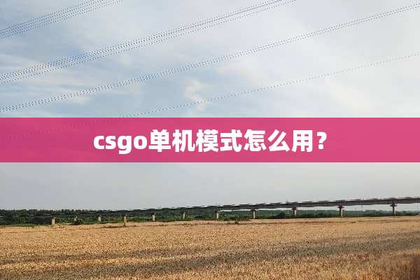csgo单机模式怎么用？