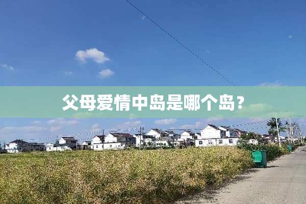 父母爱情中岛是哪个岛？