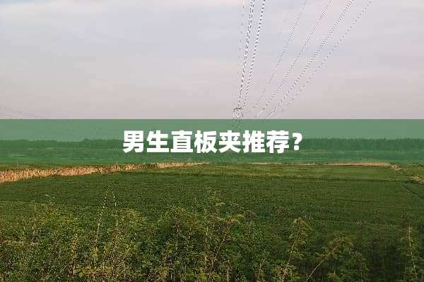 男生直板夹推荐？