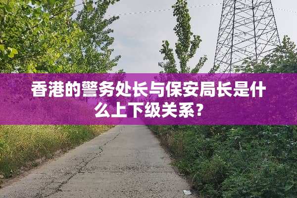 香港的警务处长与保安局长是什么上下级关系？