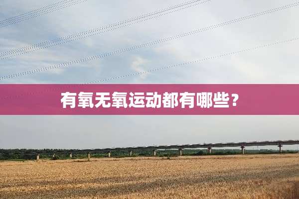 有氧无氧运动都有哪些？