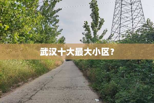 武汉十大最大小区？