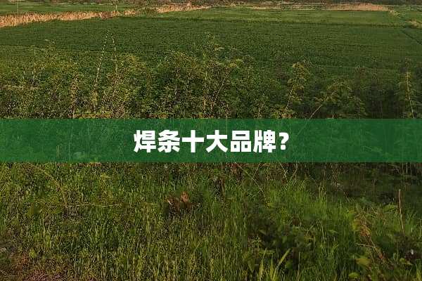 焊条十大品牌？