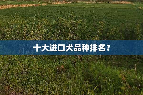 十大进口犬品种排名？
