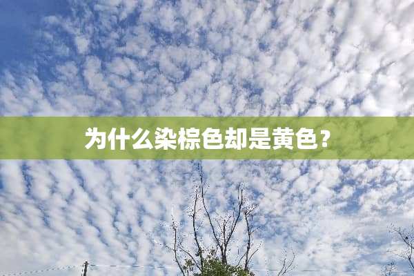 为什么染棕色却是黄色？