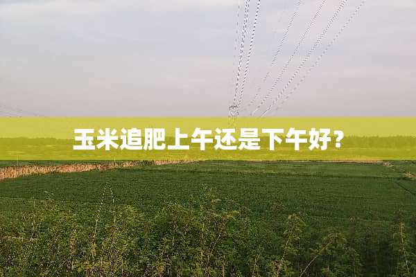 玉米追肥上午还是下午好？