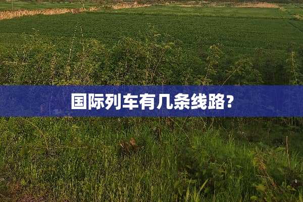 国际列车有几条线路？