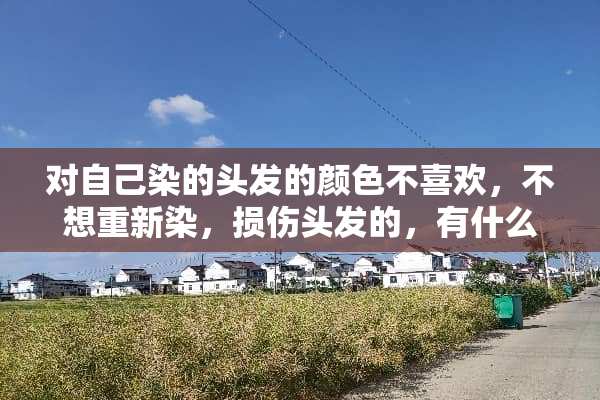 对自己染的头发的颜色不喜欢，不想重新染，损伤头发的，有什么别的方法吗？