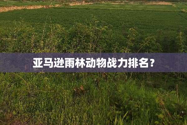 亚马逊雨林动物战力排名？