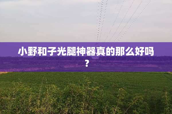 小野和子光腿神器真的那么好吗？