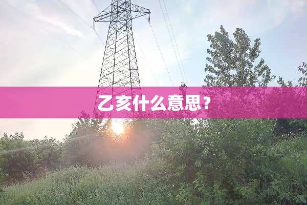 乙亥什么意思？
